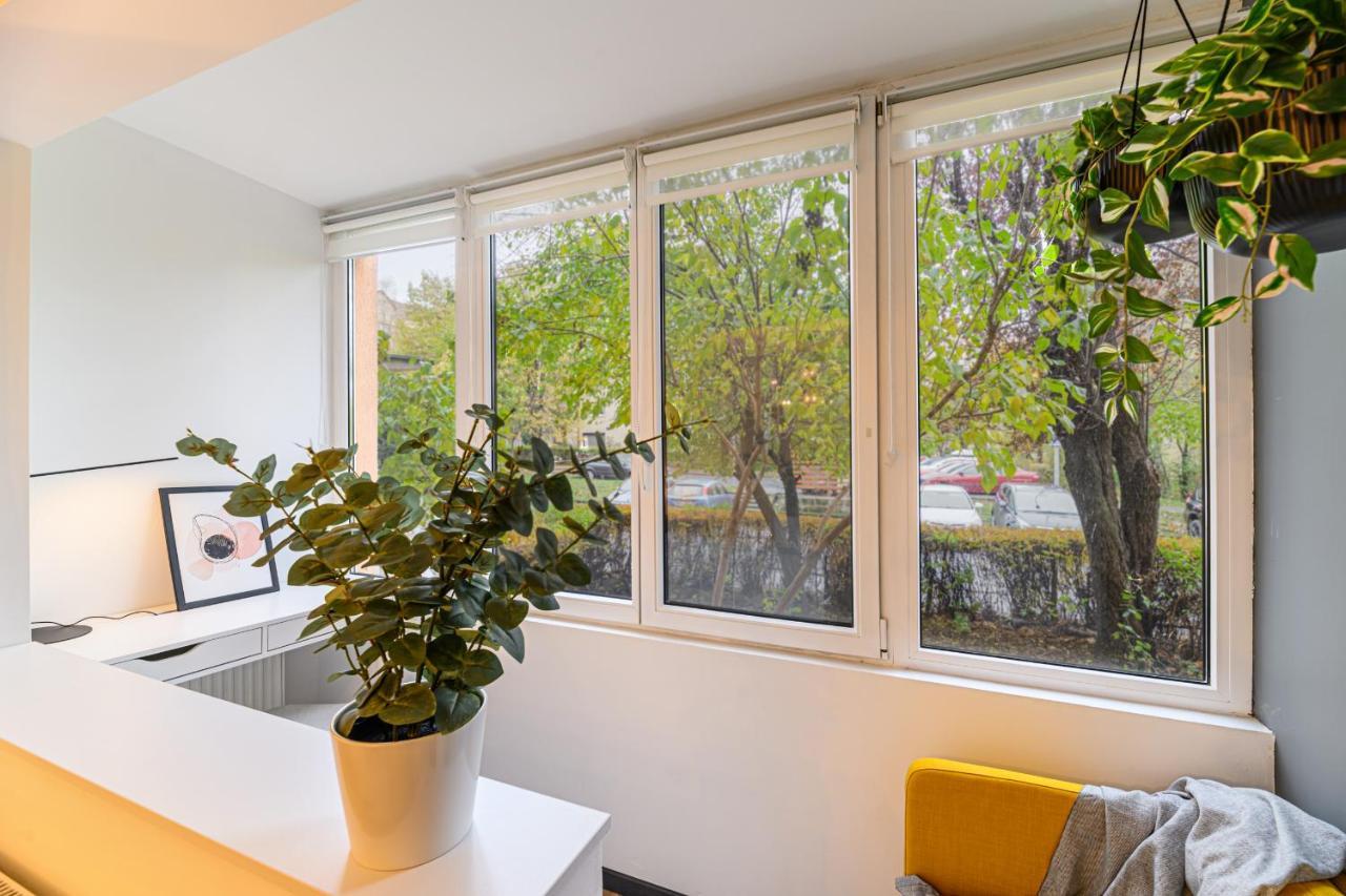 בראשוב Travelers Hideout - Central Apartment מראה חיצוני תמונה